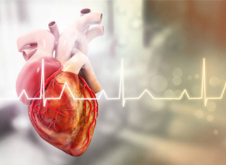3D illustration of a human heart with arteries, overlaid with an ECG heartbeat line