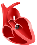 Heart icon