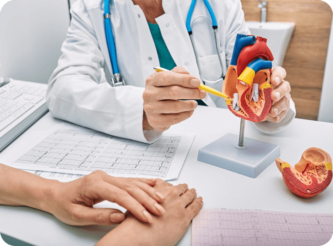 A doctor explains heart anatomy using a model while a patient listens attentively, with healthcare documents visible on the table.