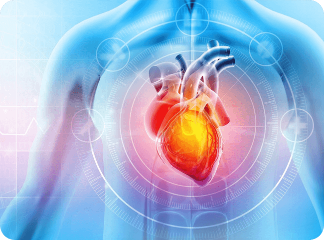 Graphic of a human silhouette with a vivid, glowing heart at its center, surrounded by a digital overlay of medical symbols.